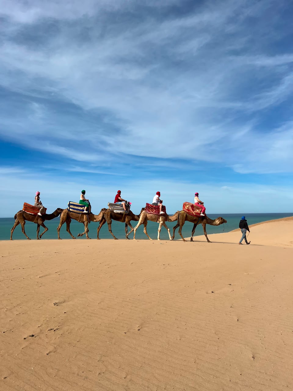 Camel Riding Adventure in Timlalin Desert in Timlalin, Agadir Morocco — book your experience