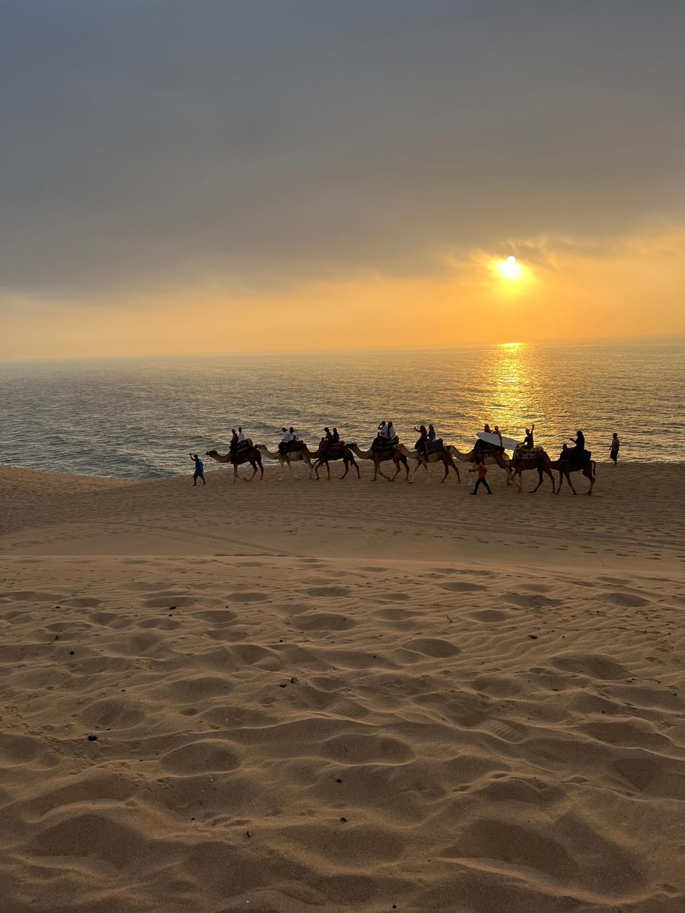Camel caravan silhouette at golden sunset over the Atlantic Ocean at Timlalin, Agadir Morocco